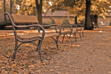 Fototapeta na wymiar autumn benches