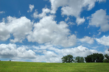 Landscape with clouds and trees
