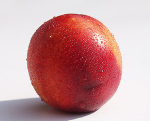 Nektarine