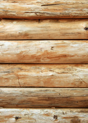 Bright wooden log wall