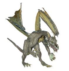drache 4