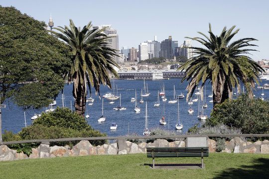 Sydney Harbour View