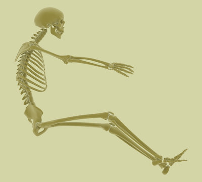 High resolution rendering of a skeleton in driving position.