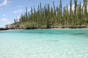 Natural paradise pool 4