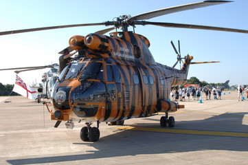 Fototapeta na wymiar Tiger Helicopter