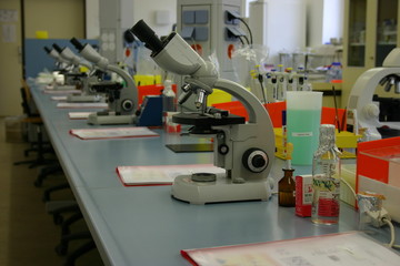 Labor
