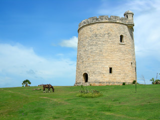 cuban tower