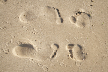 Footprints of love