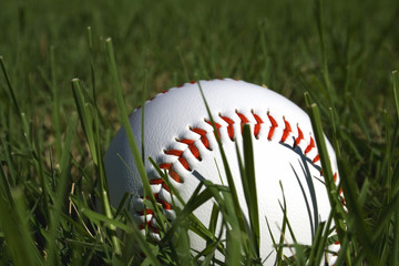 Baseball and Grass