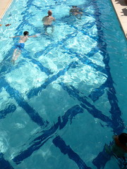 Aerial View of Swimmers in Summer Pool