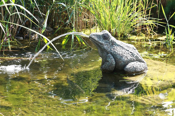 Frog — fountain 1