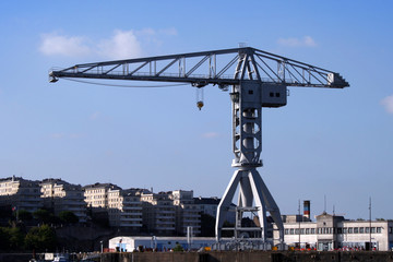 Grue grise de Nantes