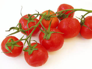 fresh tomatoes