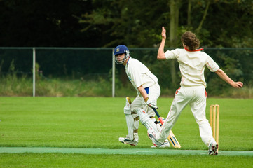cricket players
