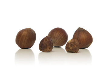hazelnuts
