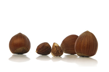 hazelnuts
