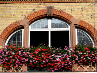 Fenster mit Geranien geschmückt