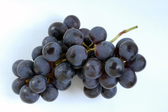 grappe de raisin noir