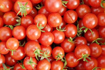 tas de tomates cerises