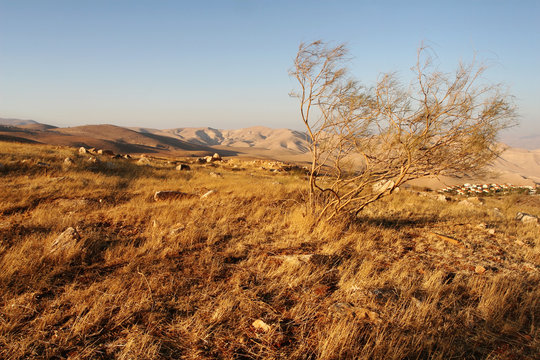 Jordanian valley ,25
