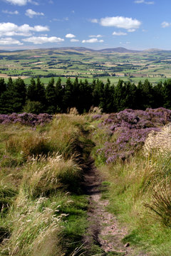 Views of Simonside
