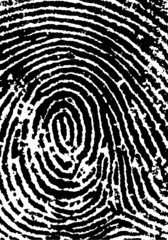 Fingerprint crop