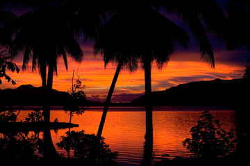 Red sunset and palm trees