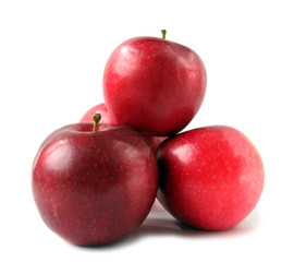 red apples on white background