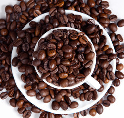 Coffee beans in a cup