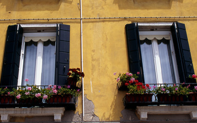 Fototapeta na wymiar Windows and shutters in orange wall. Venice. Italy