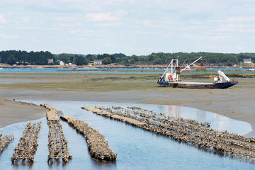Oyster farm (Brittany - France)