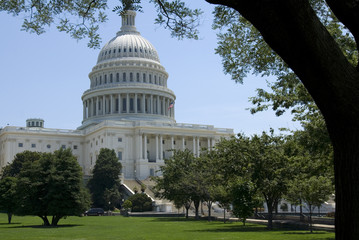 Fototapeta premium US Capitol Building
