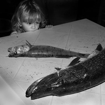 The Child And The Fish