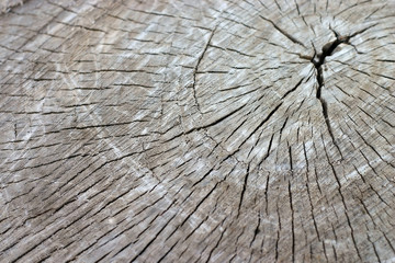 Fototapeta premium wooden texture background