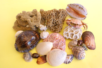 Souvenirs from Indian Ocean, SA