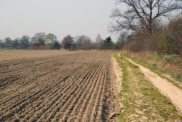 Feldweg und Acker