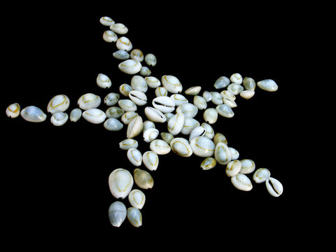 porcelaines sur fond noir