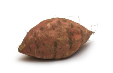 potato on white background
