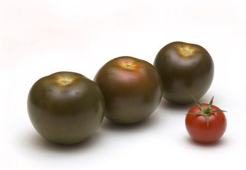 black tomatoes on white background