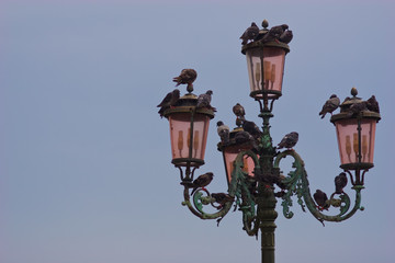 Lamp post in Venice