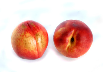 nectarines over white