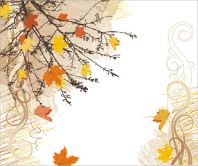 Autumn vector background  and corner
