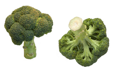 Two broccoli isolated on white background