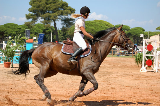 cheval et cavaliere
