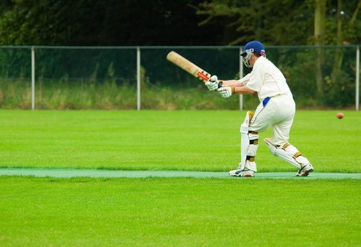cricket player