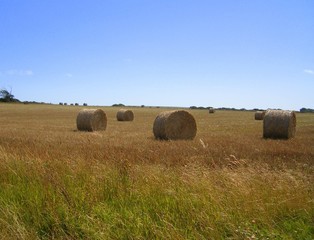 Making Hay - While the Sun shines
