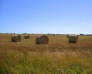 Making Hay - Four Bales in a Field