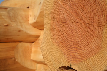 Construction en bois