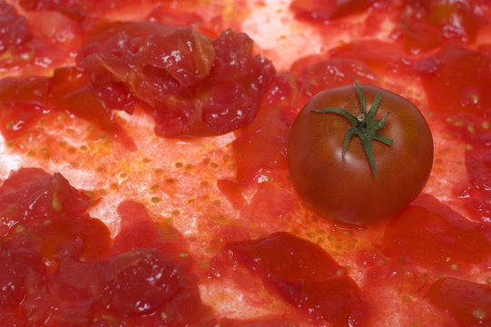 tomato