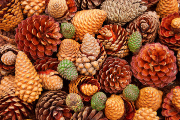 Piñas